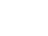 FlyFriends